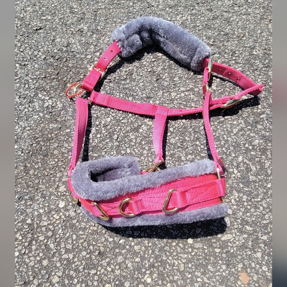 Pink Lunging Cavesson With Gray Padding NWOT
